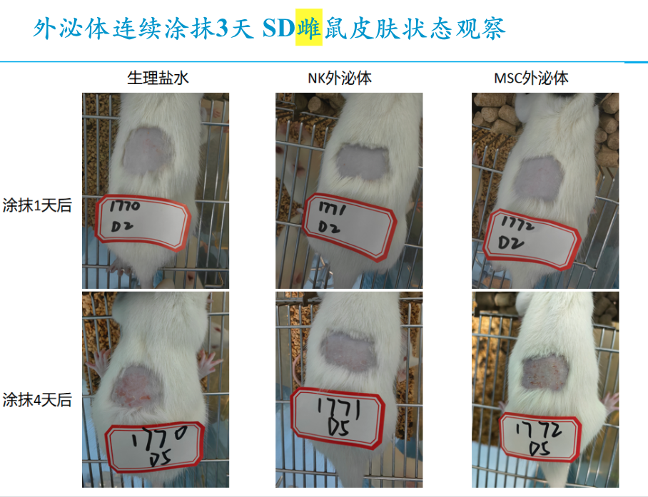 细胞谷独家科研数据：NK 外泌体表现出更佳的皮肤修复潜力，或成未来皮肤修复抗衰爆款利器