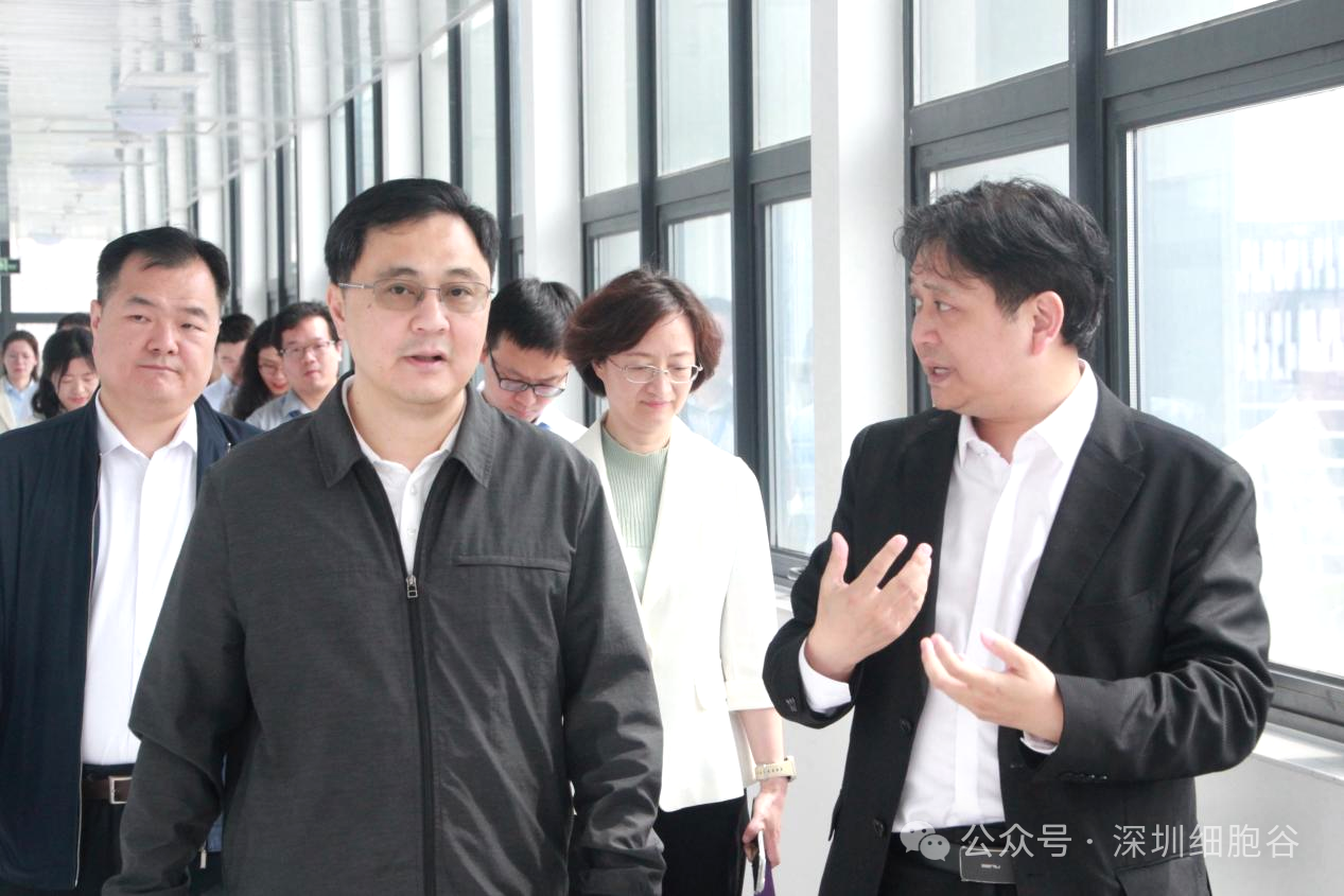 深圳市科创局张林局长一行调研深圳细胞谷