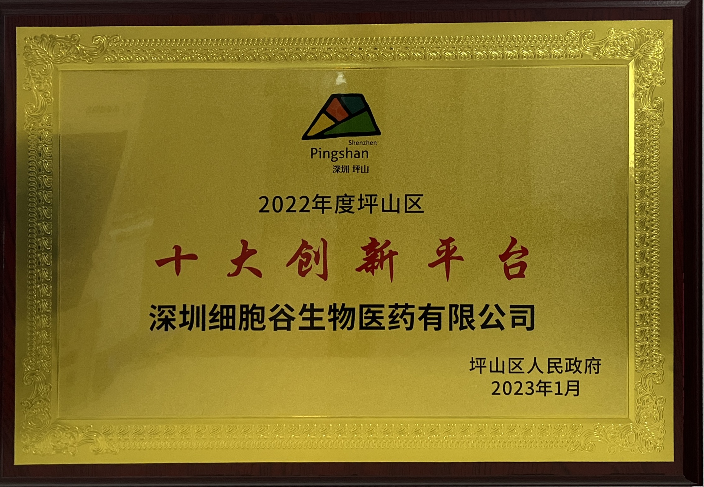 深圳市坪山区十大创新平台